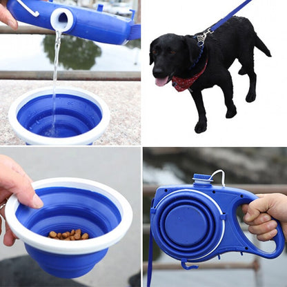 Ultimate Multi-Dog Walking Leash