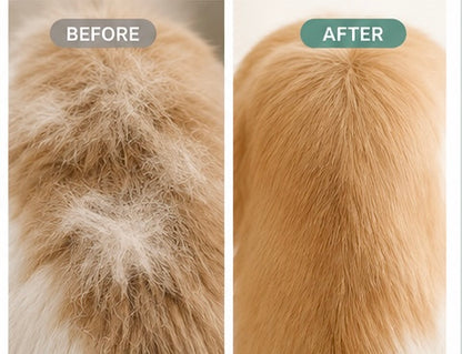 3-in-1 Pet Steam Brush
